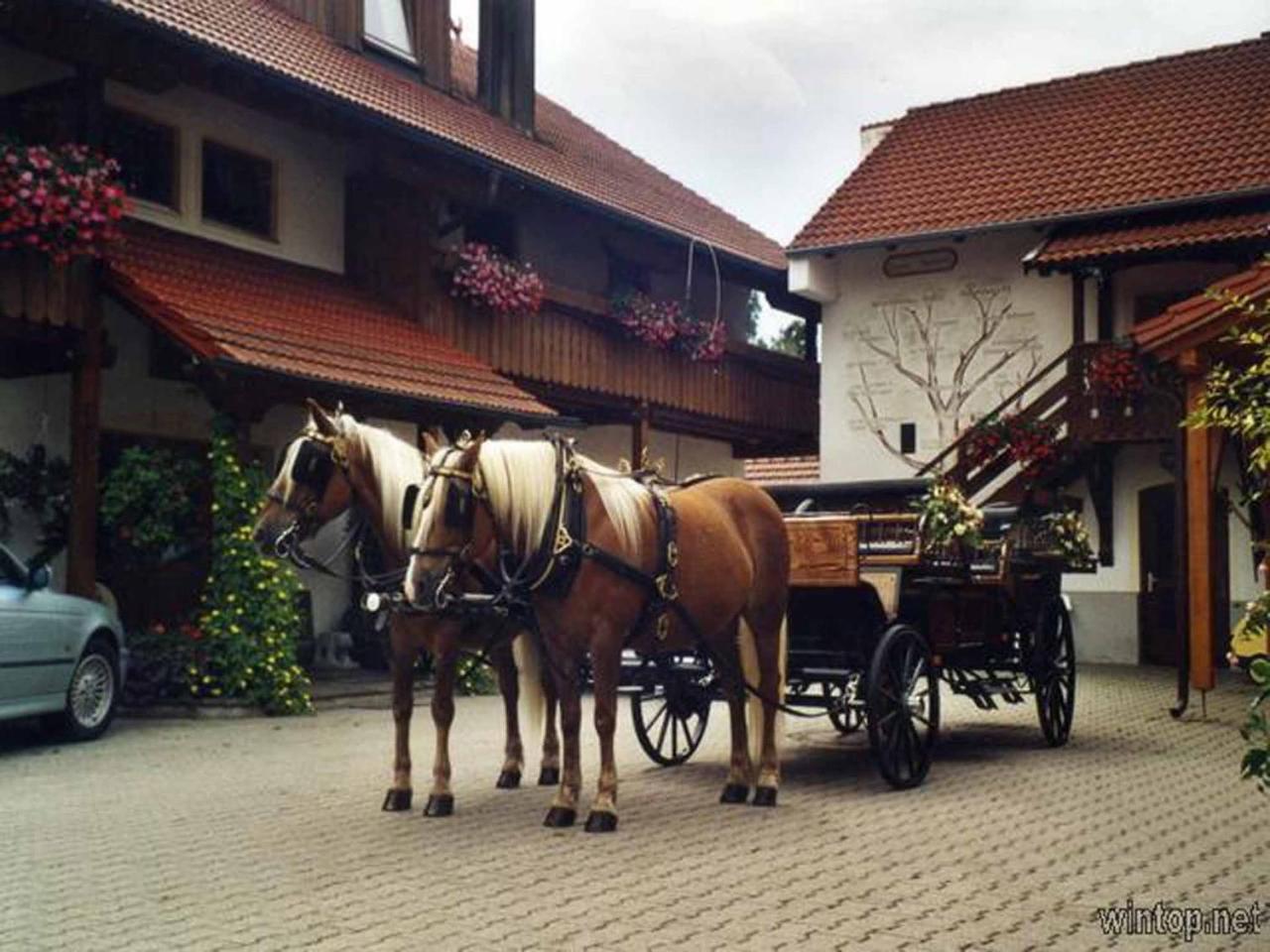 Appartementhaus "Haflinger Hof" Bad Fussing Bagian luar foto